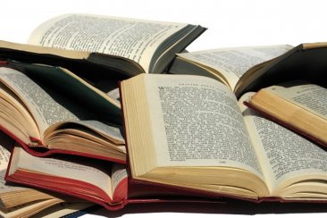 Este año le toca al género "Novela". Este año le toca al género "Novela".