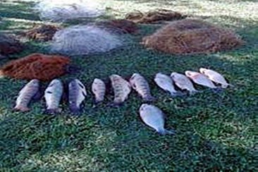 La Justicia le dio la derecha a la Federación de Clubes de Pesca. La Justicia le dio la derecha a la Federación de Clubes de Pesca.