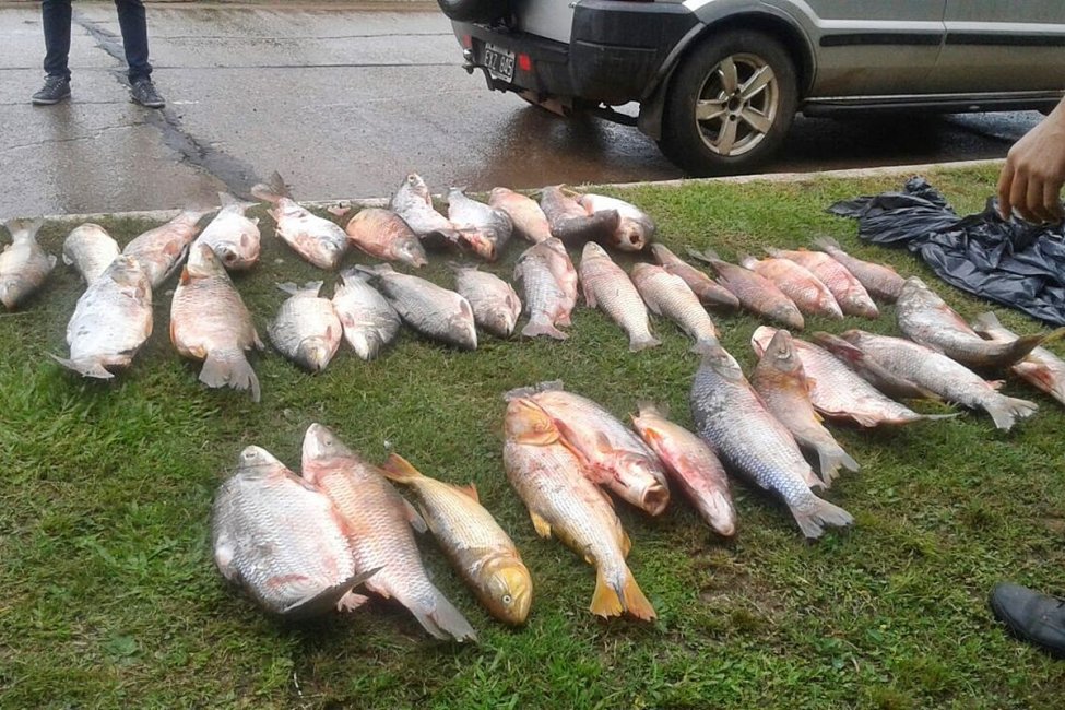 La Provincia confirmó que no declarará la veda para la pesca