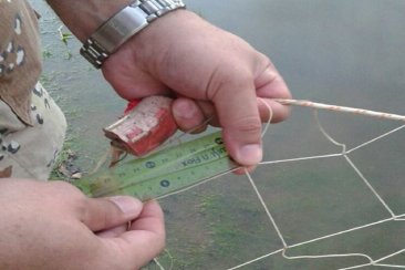 Sigue la pesca furtiva en la región. Sigue la pesca furtiva en la región.