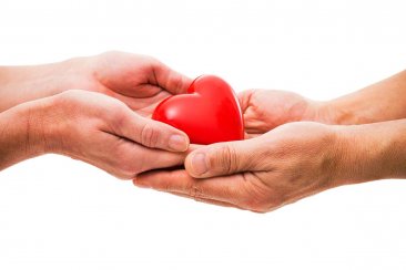 Casi la mitad de menos donaciones de órganos en Entre Ríos. Casi la mitad de menos donaciones de órganos en Entre Ríos.