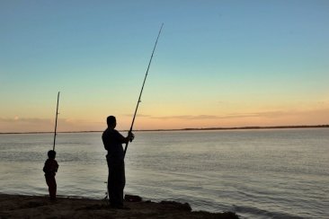 Los consejos de Bradanini. Los consejos de Bradanini.
