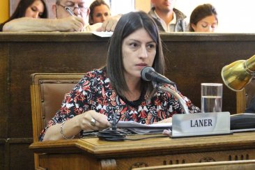Laner adelantó que convocarán al Consejo de Seguridad. Laner adelantó que convocarán al Consejo de Seguridad.