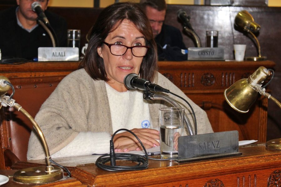 La ex concejal Julia Saenz