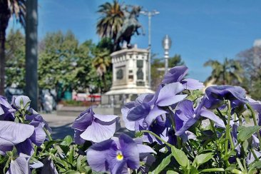 Se viene una primavera/verano con menos lluvia y temperatura no tan extremas. Se viene una primavera/verano con menos lluvia y temperatura no tan extremas.