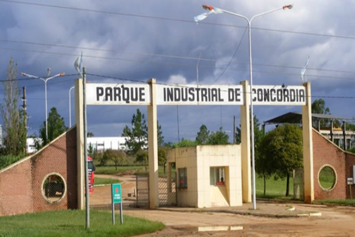 La firma proyecta emplear unas 50 personas, en el inicio de sus actividades.