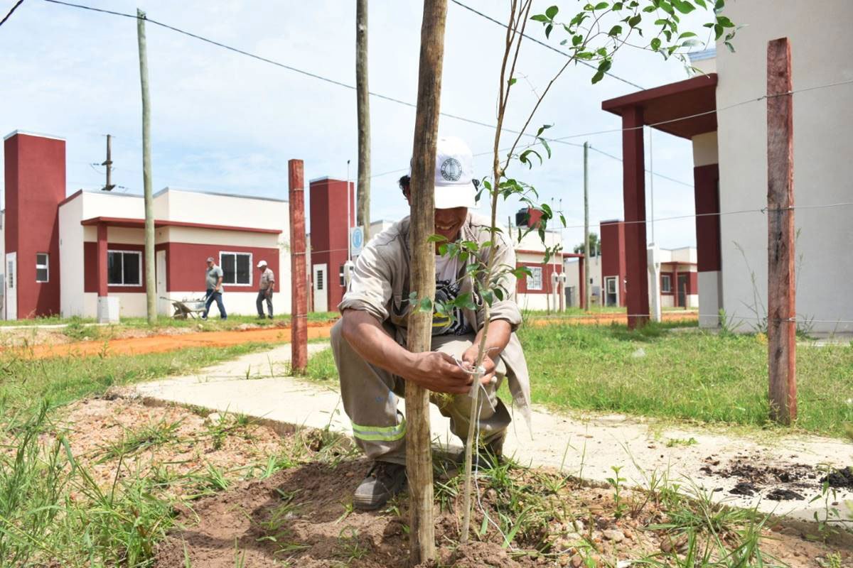La iniciativa buscar&aacute; restaurar el paisaje original de Concordia