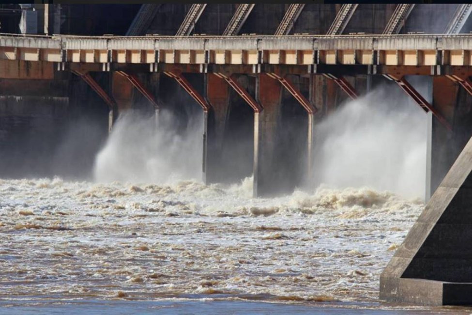 Prefectura habló de "cosas increíbles" en la lucha contra la pesca furtiva