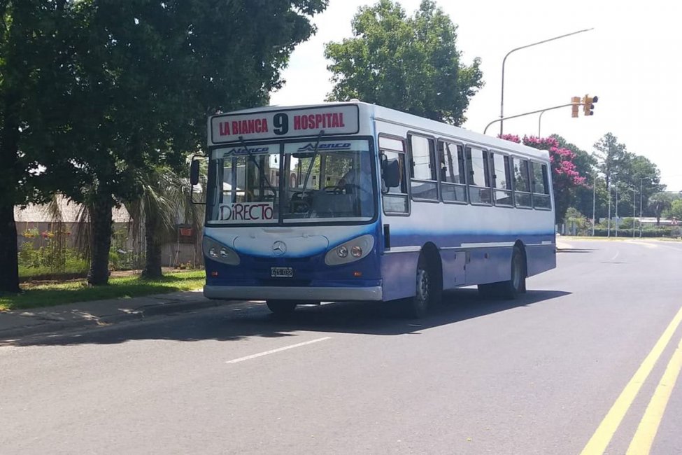 LÍNEA 9: Ex choferes reclaman los sueldos adeudados y que se los tenga en cuenta para el nuevo servicio