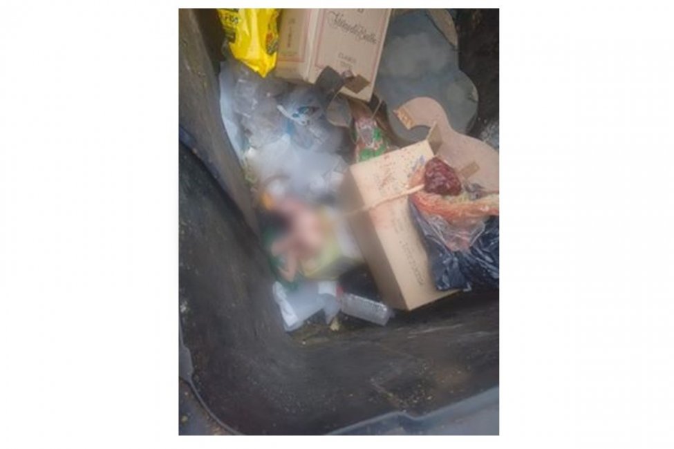 HORROR: Encontraron un feto en un contenedor de residuos en La Bianca