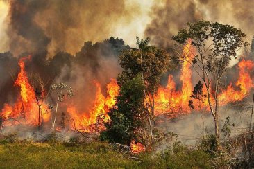 En Concordia están "atentos" ante los incendios en el Amazonas. En Concordia están "atentos" ante los incendios en el Amazonas.