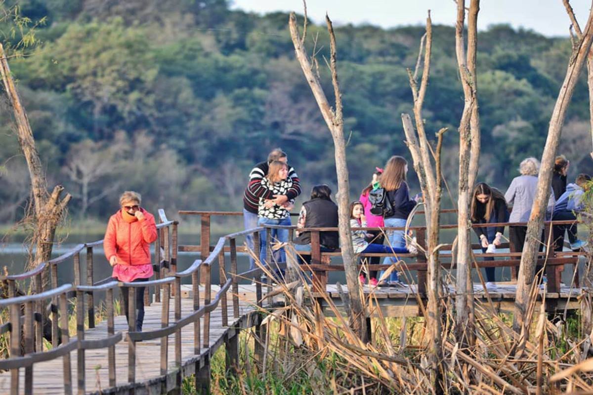 La idea es sumar dinamismo al sector.