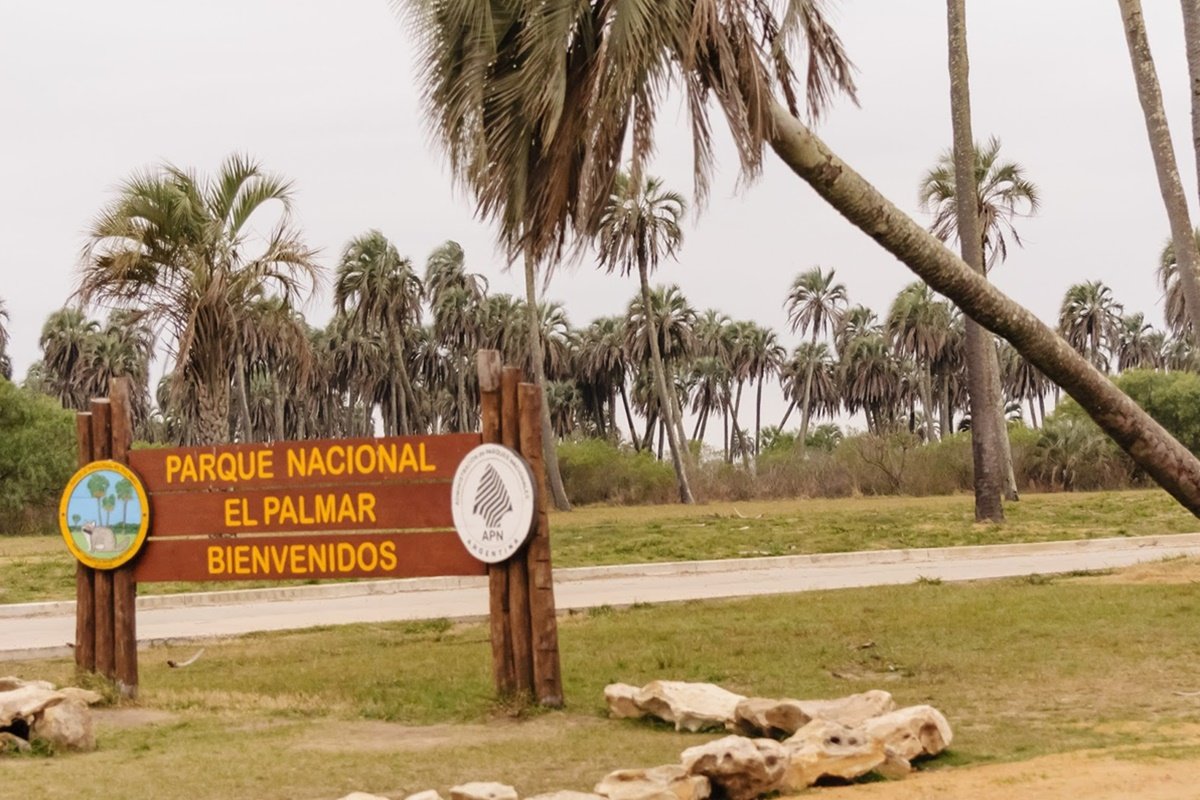 En el lugar también se encontraron prendas y otros elementos. En el lugar también se encontraron prendas y otros elementos.