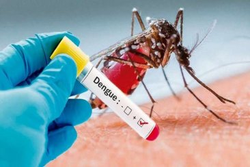 A nivel provincial se registran 95 casos de dengue. A nivel provincial se registran 95 casos de dengue.
