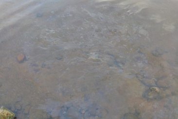 La mancha de aceite que se podía ver en el área cercana a la represa. La mancha de aceite que se podía ver en el área cercana a la represa.