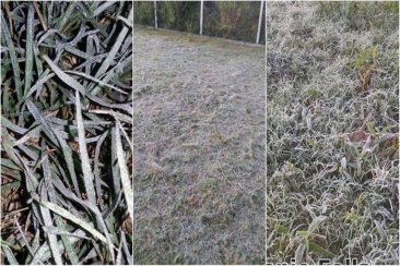 Las primeras heladas de este año, en la región. Las primeras heladas de este año, en la región.