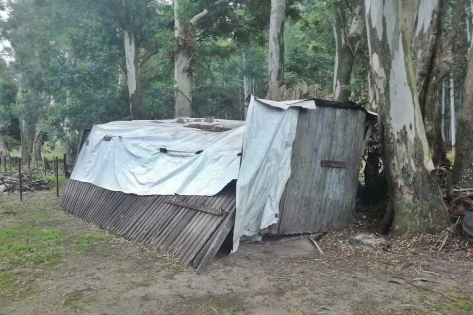 Entre los hacinados en el campo del ex delegado de Derechos Humanos había concordienses