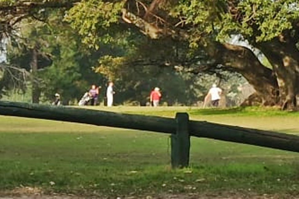 Pedirán explicaciones al Golf Club por una cantidad importante de socios en su predio