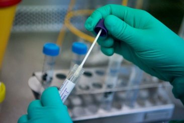 De esta manera ya son 28 los positivos de dengue en la ciudad de amigos. De esta manera ya son 28 los positivos de dengue en la ciudad de amigos.