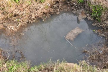 Los vecinos contaron que se pudo ver menos presencia de la extraña sustancia. Los vecinos contaron que se pudo ver menos presencia de la extraña sustancia.
