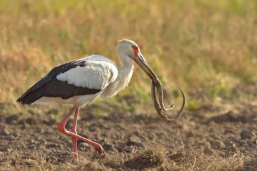 Buscan avanzar en coordinar acciones para la preservación del medio ambiente. Buscan avanzar en coordinar acciones para la preservación del medio ambiente.