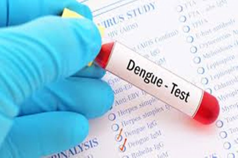 DENGUE: Desde el Nodo Epidemiológico Concordia se informó que debieron enviarse muestras "sospechosas"