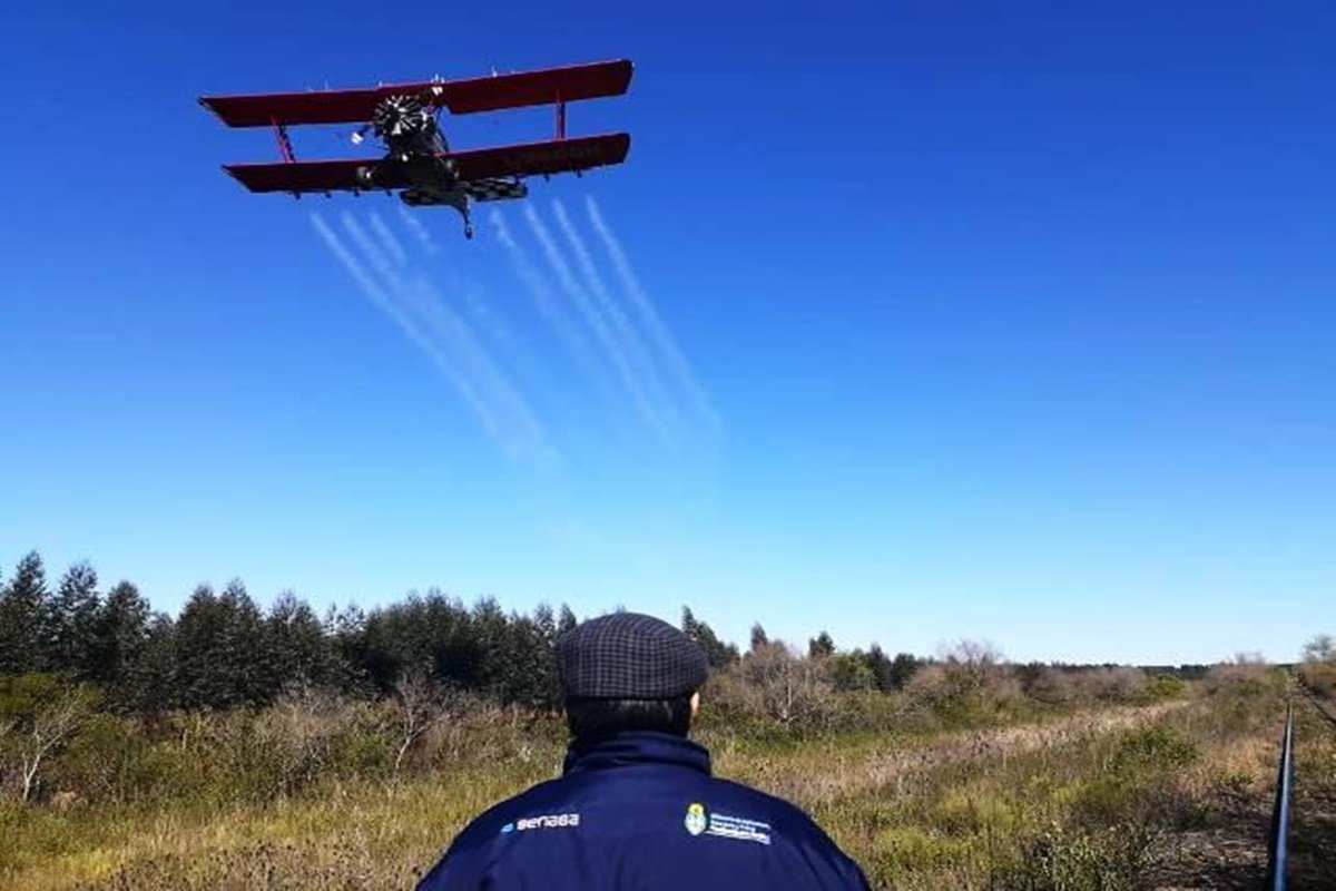 El sector analiza la manera de contener el avance de la mosca de los frutos.