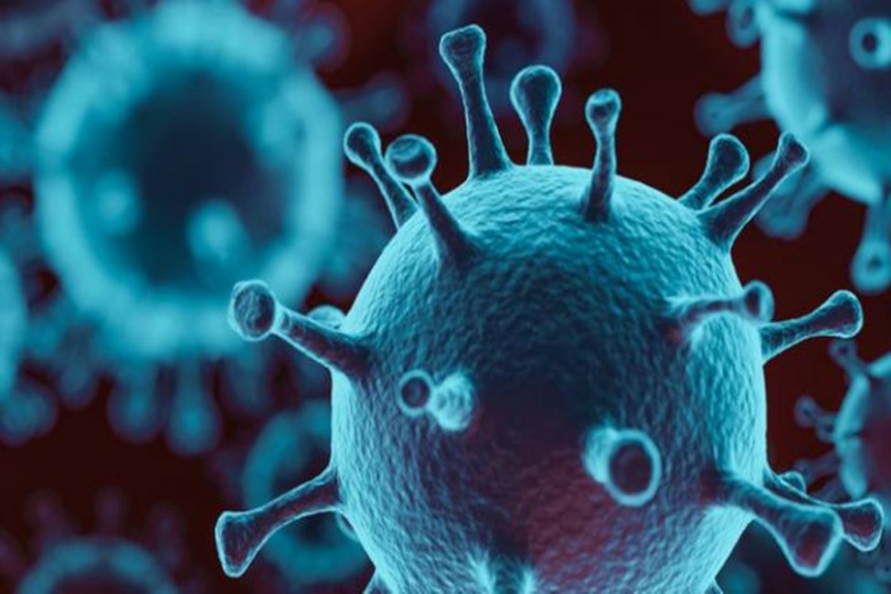 Se registraron en la provincia cinco muertes asociadas a Coronavirus