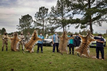 Las imágenes que difundió la Brigada de Control Ambiental. Las imágenes que difundió la Brigada de Control Ambiental.