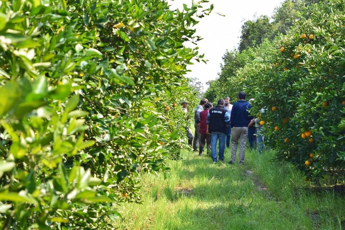 Amavet estuvo en el deparamento Concordia y Federaci&oacute;n.
