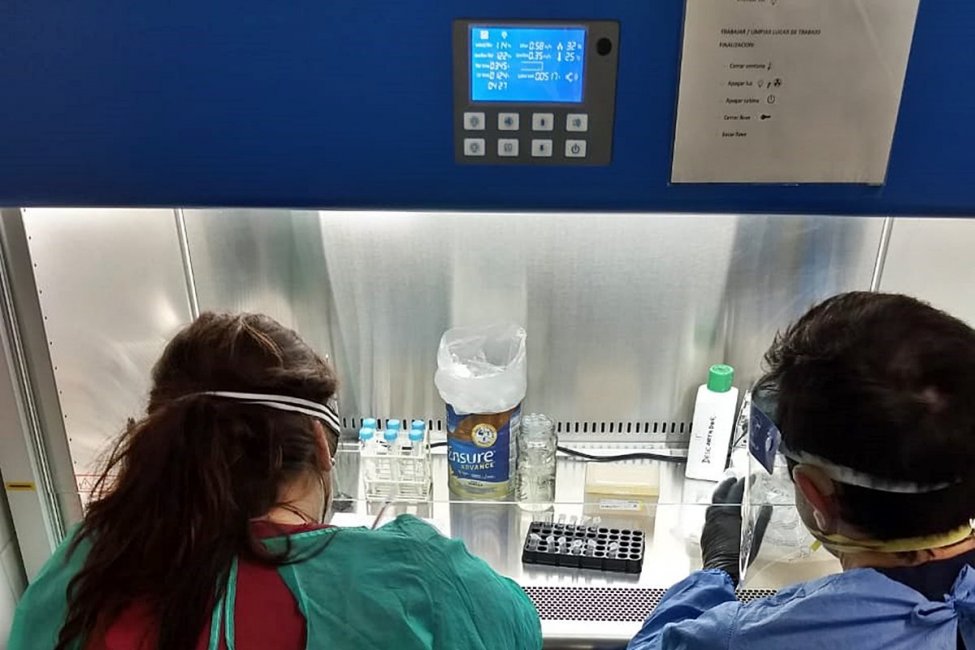 El Laboratorio del Hospital Masvernat comenzó oficialmente a analizar las muestras de COVID-19