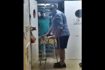 El profesional sorprendió a sus compañeros de trabajo. El profesional sorprendió a sus compañeros de trabajo.