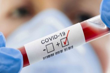 Los números del COVID Los números del COVID