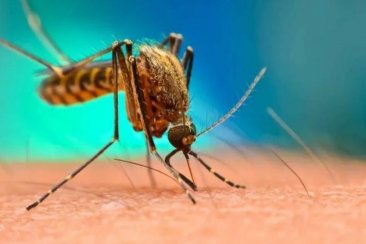 La cartera sanitaria entrerriana hizo hincapié en los criterios de clasificación La cartera sanitaria entrerriana hizo hincapié en los criterios de clasificación