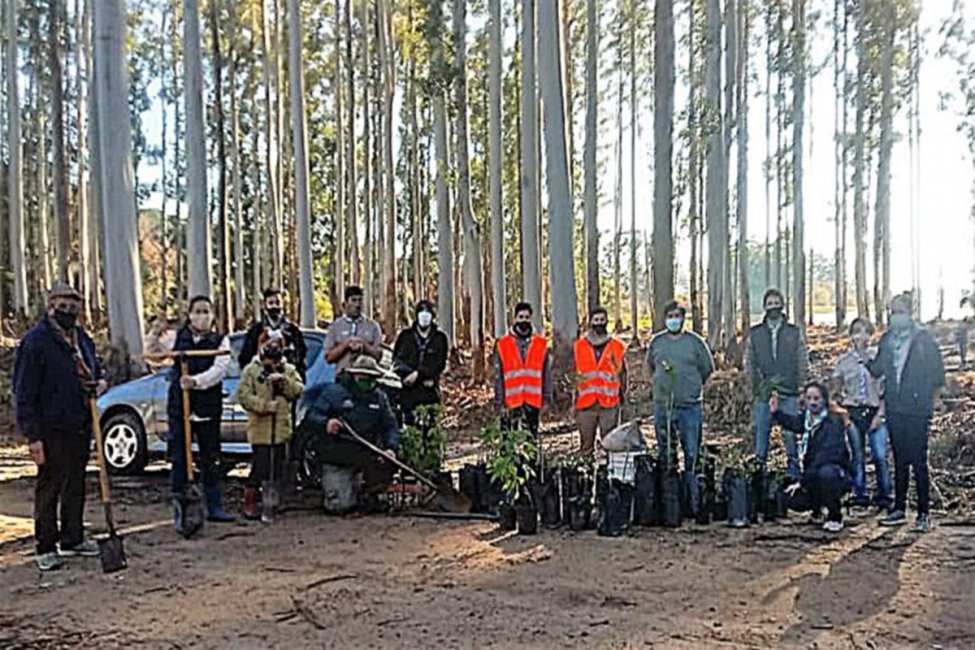 Se plantaron más de 60 especies nativas enmarcadas en la restauración ambiental del perilago
