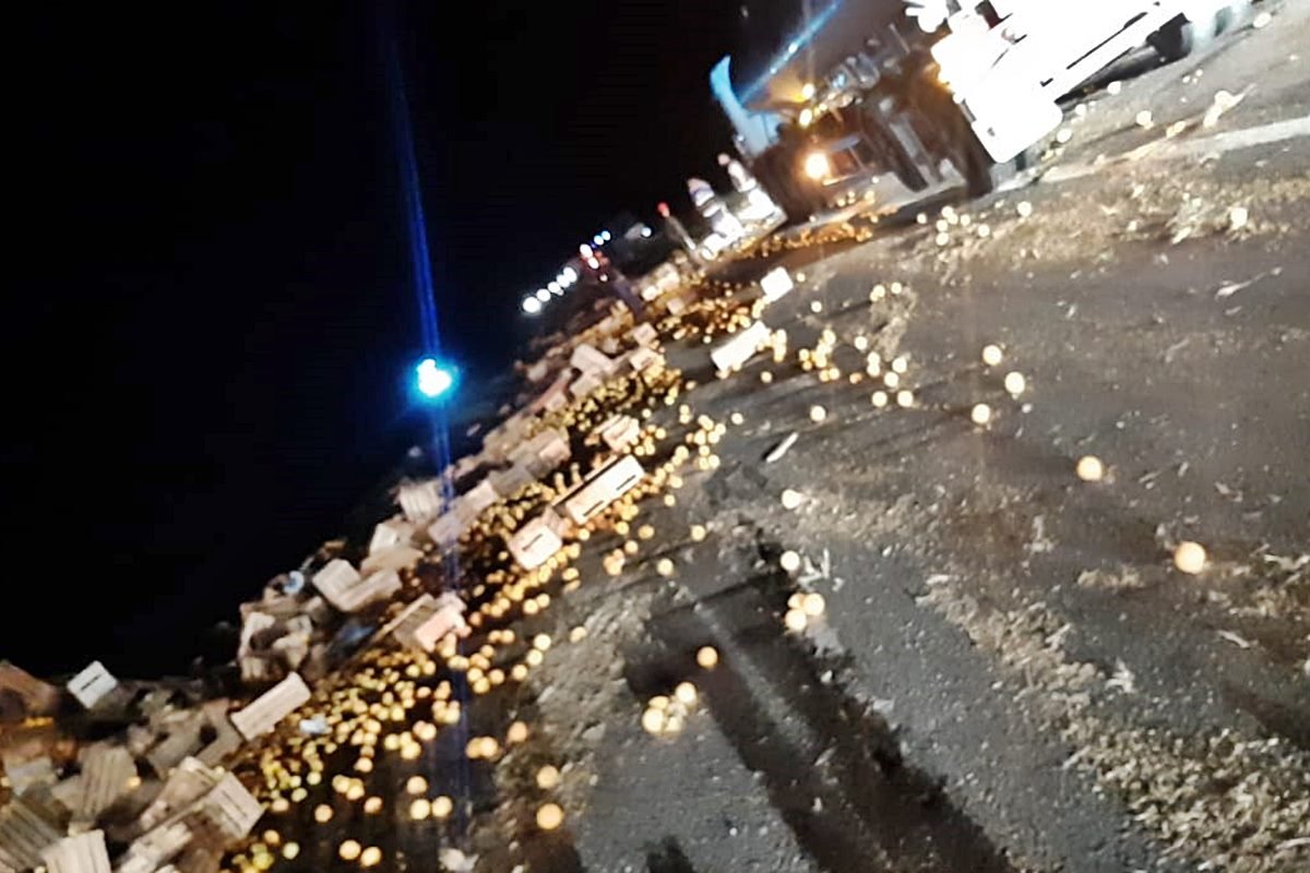 El siniestro vial ocurri&oacute; durante la noche de este viernes.