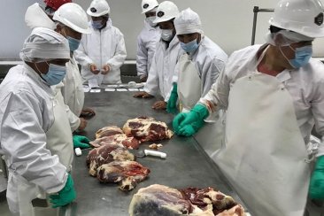 El frigorífico cuenta con una planta de 90 trabajadores. El frigorífico cuenta con una planta de 90 trabajadores.