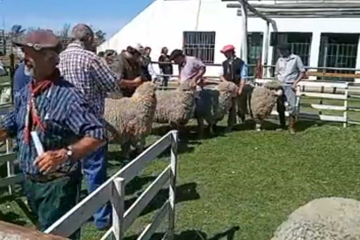 La expo local ser&aacute; en septiembre.