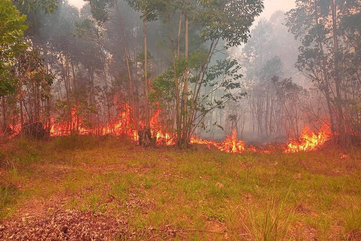 El incendio amenazaba con avanzar en dos viviendas particulares de la zonas.