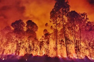 Extienden la emergencia ambiental a todo el territorio provincial. Extienden la emergencia ambiental a todo el territorio provincial.