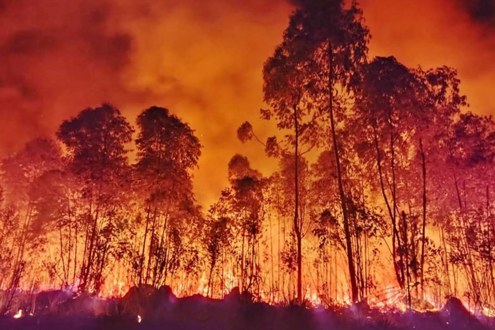 Por la cantidad de incendios relevarán la situación específica de cada departamento entrerriano