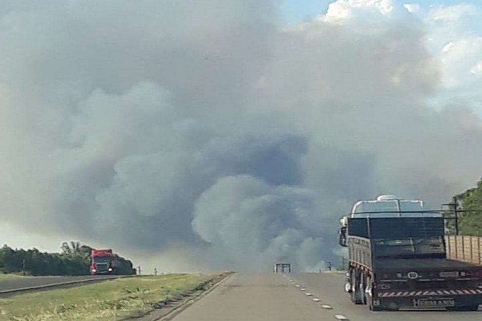 Un imponente incendio forestal amenaza al Parque Nacional El Palmar