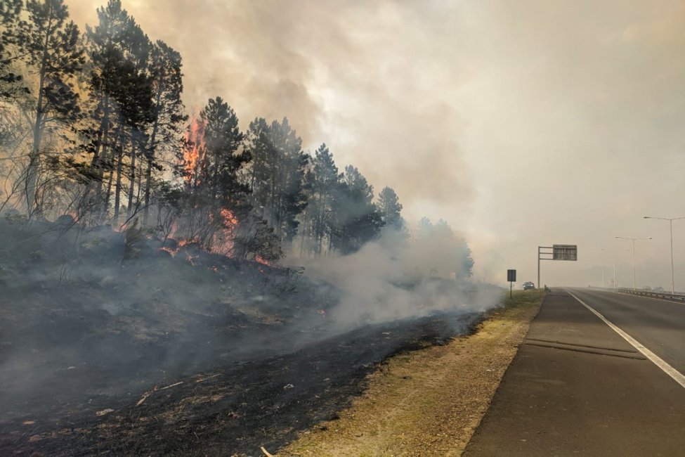Un nuevo incendio de gran magnitud afecta varias hectáreas del acceso norte a Concordia
