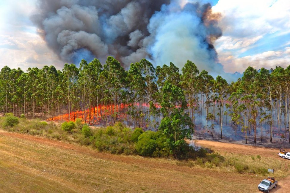 Avanza en distintos frentes el incendio al norte de Concordia y los bomberos dan prioridad a las viviendas de la zona rural