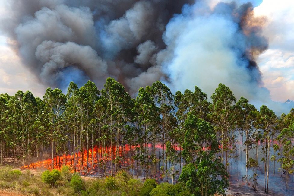 "Alguien está detrás de estos incendios y las denuncias están hechas" dicen desde Bomberos Voluntarios
