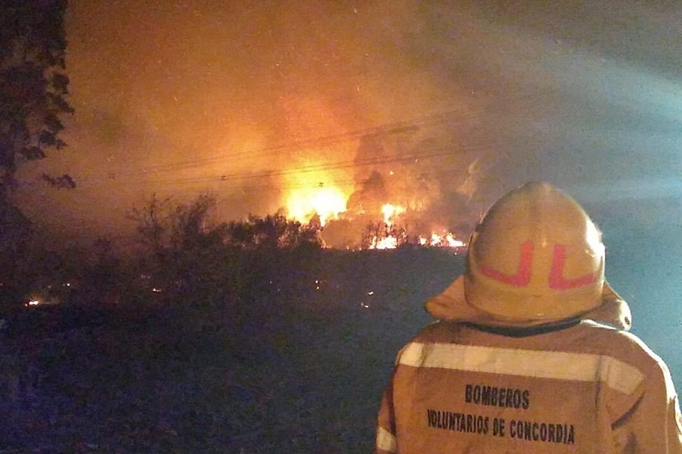 El incendio en la zona del INTA Concordia arrasó una superficie aproximada "a las 800 hectáreas"