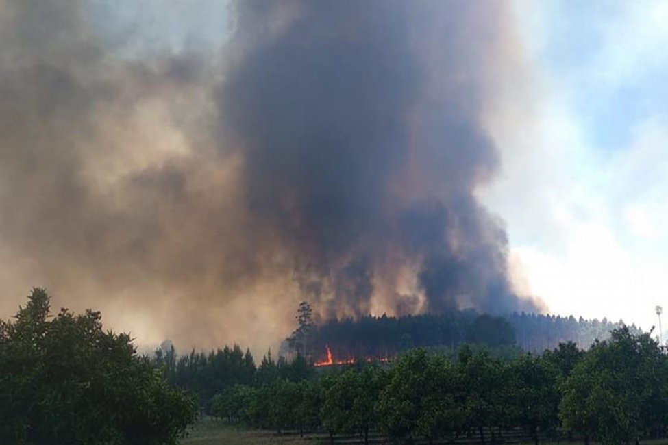 Bomberos concordienses trabajan sin descanso para sofocar un incendio en la zona sur