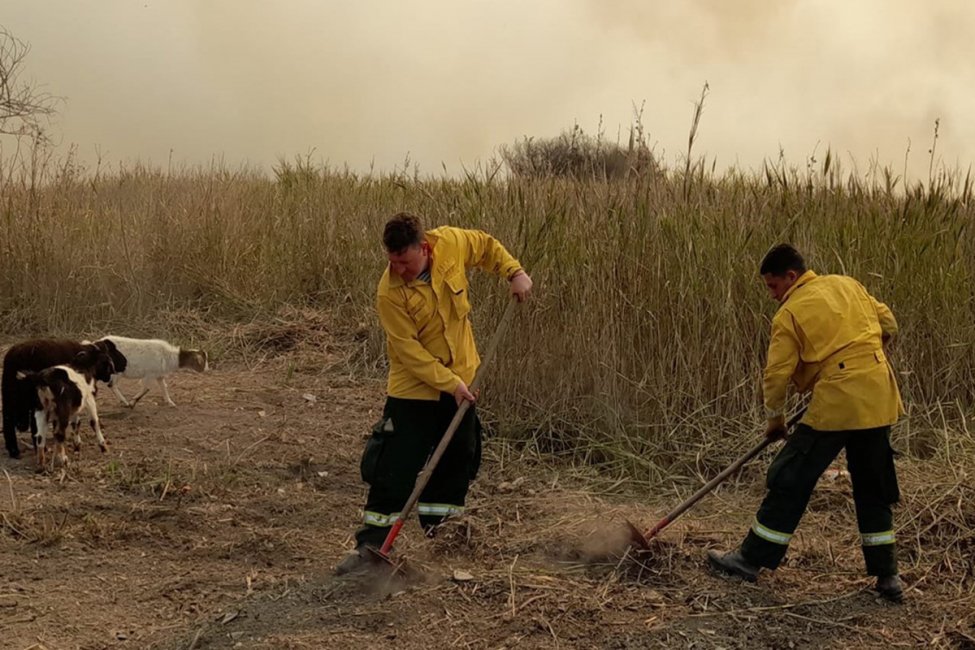 Bomberos Voluntarios reciben asistencia por unos 14 millones de pesos