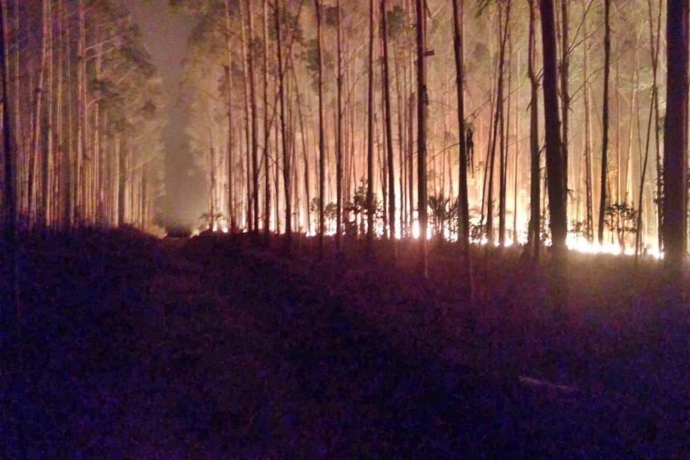 Bomberos Voluntarios combaten dos incendios de forma simultánea y advierten que no cuentan "con más recursos"
