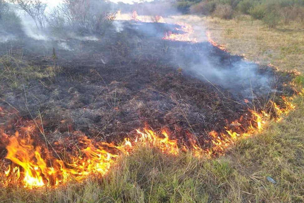 Vuelve el calor y retorna el peligro de los incendios forestales a la región